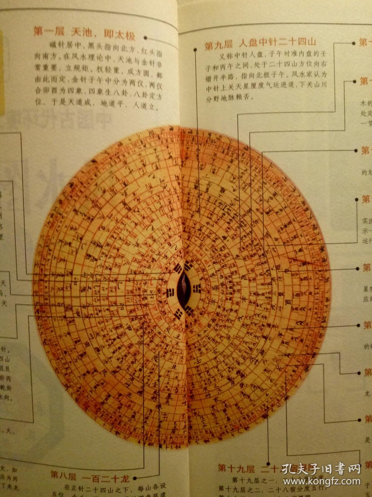 大众网德州_德州新闻 论坛 社区天气人才门户(图1)