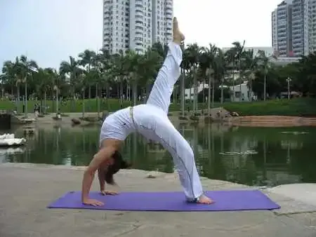 没有vip的手游(图1)