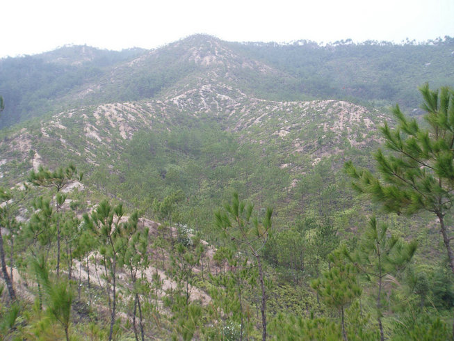 骑行热一道独特的风景线(图1)
