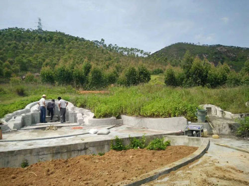 传承中医药文化共筑健康生活新篇章(图1)
